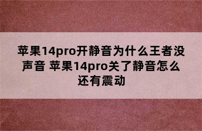 苹果14pro开静音为什么王者没声音 苹果14pro关了静音怎么还有震动